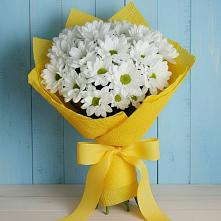 Букет цветов из:  Хризантемы в Шереметьевка
