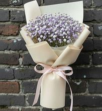Букет цветов из:  Гипсофила в Шереметьевка