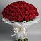 Букет 101 Красная роза Блэк Мэджик в Шереметьевка