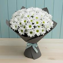 Букет цветов из:  Хризантемы в Шереметьевка