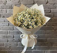 Букет цветов из:  Ромашки в Шереметьевка