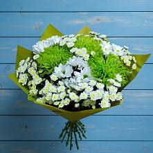 Букет цветов из:  Хризантемы в Шереметьевка
