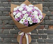 Букет цветов из:  Хризантемы в Шереметьевка