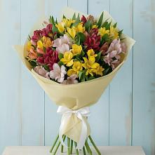 Букет цветов из:  Альстромерии в Шереметьевка