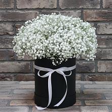 Цветочная композиция из Гипсофила в шляпной коробке в Шереметьевка