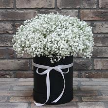 Цветочная композиция из Гипсофила в шляпной коробке в Шереметьевка