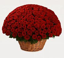 Премиум букет из: Розы в Шереметьевка