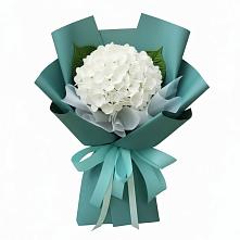 Букет цветов из:  Гортензия в Шереметьевка